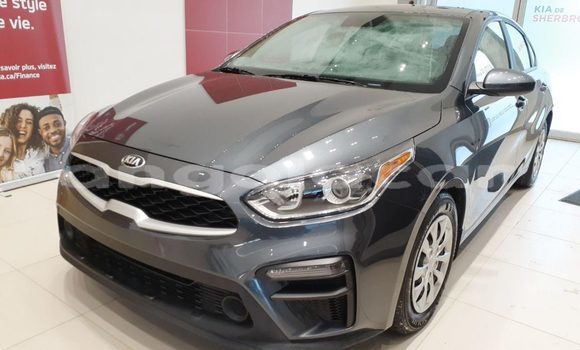 Buy Used Kia Forte Silver Car in Luanda in Luanda Province Buy Used Kia Forte Silver Car in Luanda in Luanda Province