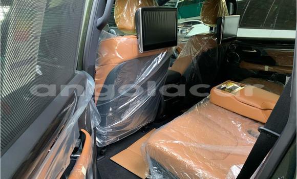 Buy New Lexus LX 570 Green Car in Luanda in Luanda Province Buy New Lexus LX 570 Green Car in Luanda in Luanda Province