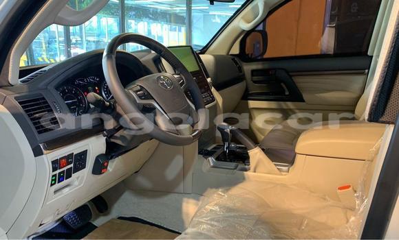 Comprar Usado Toyota Land Cruiser Branco Carro em Luanda em Luanda Province Comprar Usado Toyota Land Cruiser Branco Carro em Luanda em Luanda Province