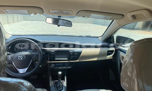 Comprar Usado Toyota Corolla Outro Carro em Luanda em Luanda Province Comprar Usado Toyota Corolla Outro Carro em Luanda em Luanda Province