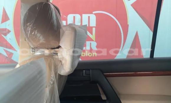 Comprar Usado Toyota Land Cruiser Outro Carro em Luena em Moxico Comprar Usado Toyota Land Cruiser Outro Carro em Luena em Moxico