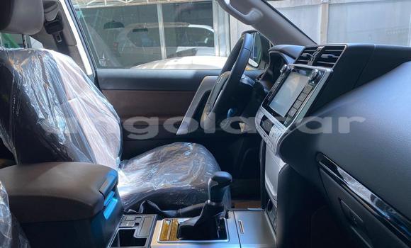 Comprar Usado Toyota Land Cruiser Prado Branco Carro em Luanda em Luanda Province Comprar Usado Toyota Land Cruiser Prado Branco Carro em Luanda em Luanda Province