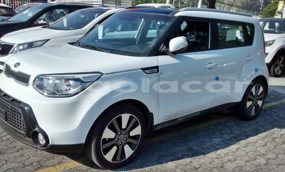 Buy Used Kia Soul White Car in Catabola in Bie