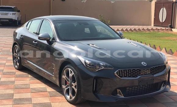 Acheter Neuf Voiture Kia Stinger Noir à Luanda, Province de Luanda