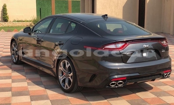Comprar Novo Kia Stinger Preto Carro em Luanda em Luanda Province Comprar Novo Kia Stinger Preto Carro em Luanda em Luanda Province