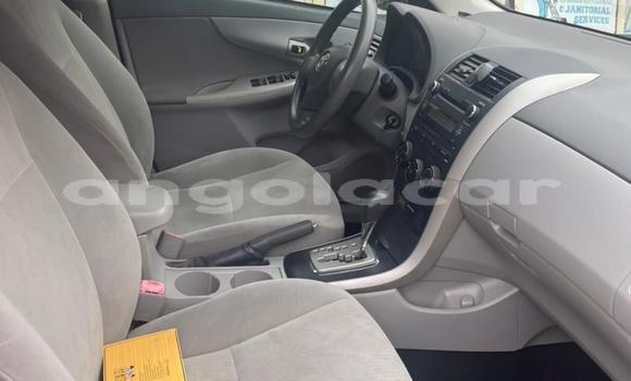 Acheter Occasion Voiture Toyota Corolla Rouge à Luanda, Province de Luanda Acheter Occasion Voiture Toyota Corolla Rouge à Luanda, Province de Luanda