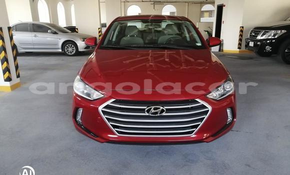 Comprar Usado Hyundai Elantra Vermelho Carro em Luena em Moxico Comprar Usado Hyundai Elantra Vermelho Carro em Luena em Moxico