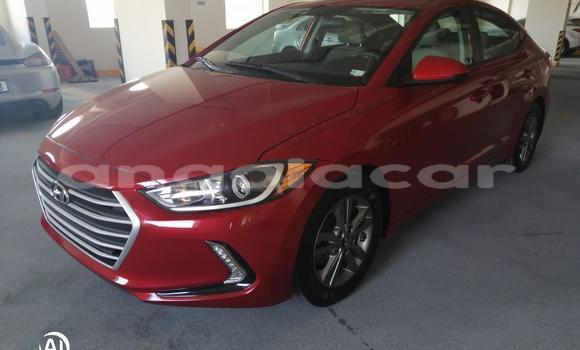 Comprar Usado Hyundai Elantra Vermelho Carro em Luena em Moxico Comprar Usado Hyundai Elantra Vermelho Carro em Luena em Moxico