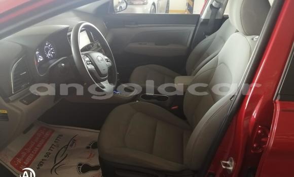 Comprar Usado Hyundai Elantra Vermelho Carro em Luena em Moxico Comprar Usado Hyundai Elantra Vermelho Carro em Luena em Moxico