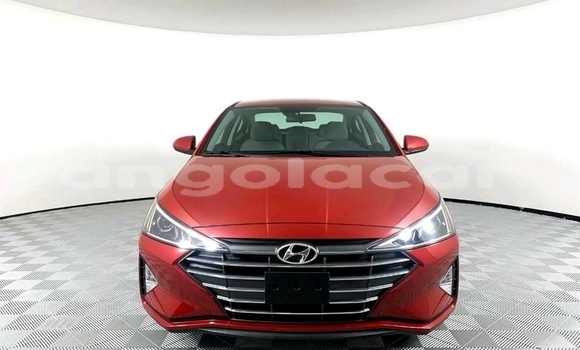 Buy Used Hyundai Elantra Other Car in N'dalatando in Cuanza Norte Province Buy Used Hyundai Elantra Other Car in N'dalatando in Cuanza Norte Province