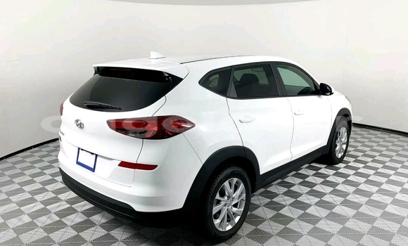 Buy Used Hyundai Tucson White Car in N'dalatando in Cuanza Norte Province Buy Used Hyundai Tucson White Car in N'dalatando in Cuanza Norte Province