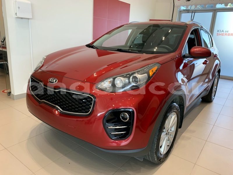 Big with watermark kia sportage luanda province luanda 16183