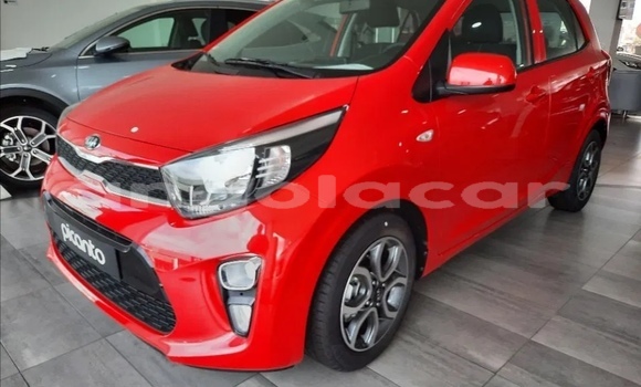 Comprar Usado Kia Picanto Vermelho Carro em Luanda em Luanda Province