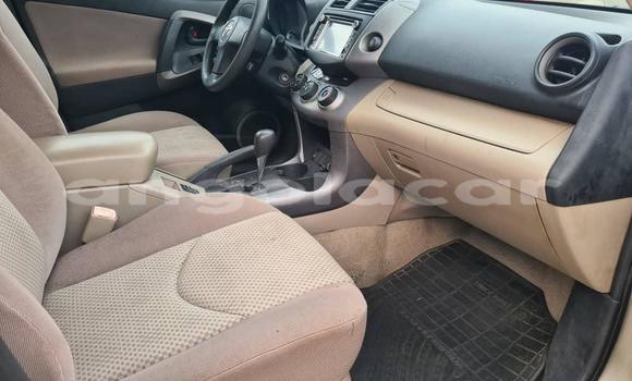 Comprar Usado Toyota RAV4 Outro Carro em Luena em Moxico Comprar Usado Toyota RAV4 Outro Carro em Luena em Moxico