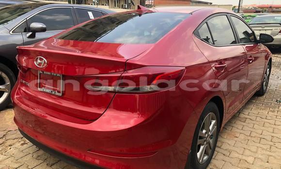 Comprar Usado Hyundai Elantra Vermelho Carro em Luena em Moxico Comprar Usado Hyundai Elantra Vermelho Carro em Luena em Moxico