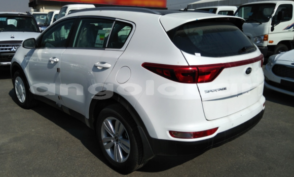 Buy New Kia Sportage White Car in Luanda in Luanda Province Buy New Kia Sportage White Car in Luanda in Luanda Province