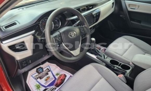 Comprar Usado Toyota Corolla Outro Carro em Luanda em Luanda Province