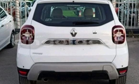 Buy Used Renault Duster White Car in Luanda in Luanda Province Buy Used Renault Duster White Car in Luanda in Luanda Province