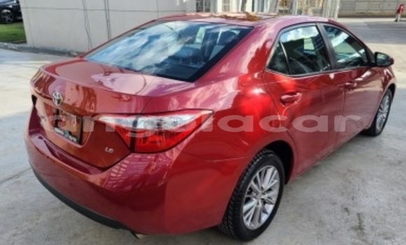 Comprar Usado Toyota Corolla Outro Carro em Luanda em Luanda Province Comprar Usado Toyota Corolla Outro Carro em Luanda em Luanda Province