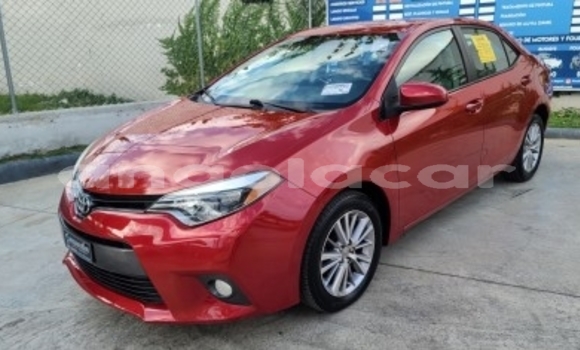 Buy Used Toyota Corolla Other Car in Luanda in Luanda Province Buy Used Toyota Corolla Other Car in Luanda in Luanda Province