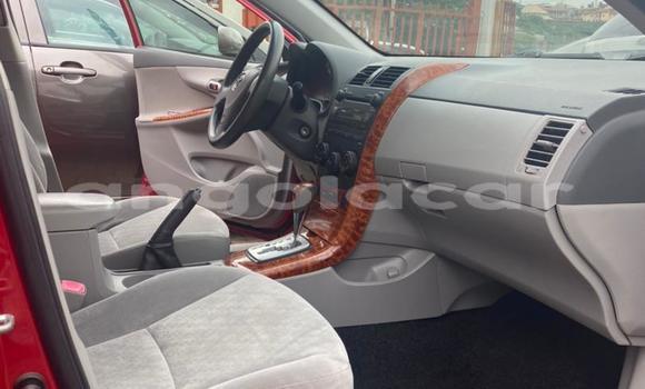 Acheter Occasion Voiture Toyota Corolla Rouge à Luanda, Province de Luanda Acheter Occasion Voiture Toyota Corolla Rouge à Luanda, Province de Luanda