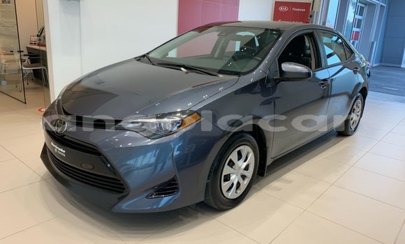 Buy Used Toyota Corolla Silver Car in Luanda in Luanda Province