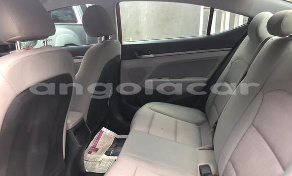 Comprar Usado Hyundai Elantra Vermelho Carro em Luena em Moxico Comprar Usado Hyundai Elantra Vermelho Carro em Luena em Moxico