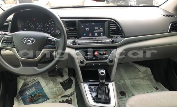 Comprar Usado Hyundai Elantra Vermelho Carro em Luena em Moxico Comprar Usado Hyundai Elantra Vermelho Carro em Luena em Moxico