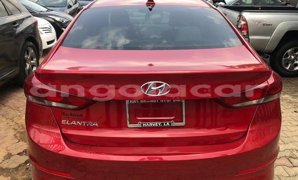Comprar Usado Hyundai Elantra Vermelho Carro em Luena em Moxico Comprar Usado Hyundai Elantra Vermelho Carro em Luena em Moxico