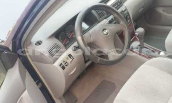 Buy Used Toyota Corolla Blue Car in Luanda in Luanda Province Buy Used Toyota Corolla Blue Car in Luanda in Luanda Province