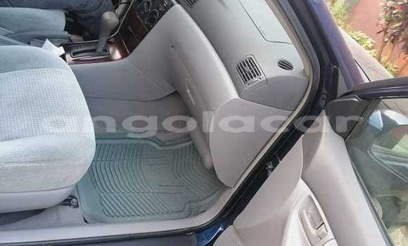 Buy Used Toyota Corolla Blue Car in Luanda in Luanda Province Buy Used Toyota Corolla Blue Car in Luanda in Luanda Province