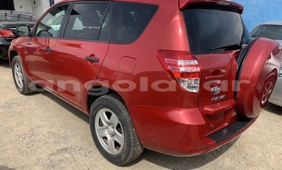 Buy Used Toyota RAV4 Red Car in Luanda in Luanda Province Buy Used Toyota RAV4 Red Car in Luanda in Luanda Province