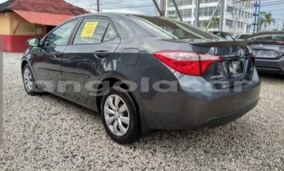 Buy Used Toyota Corolla Black Car in Luanda in Luanda Province Buy Used Toyota Corolla Black Car in Luanda in Luanda Province