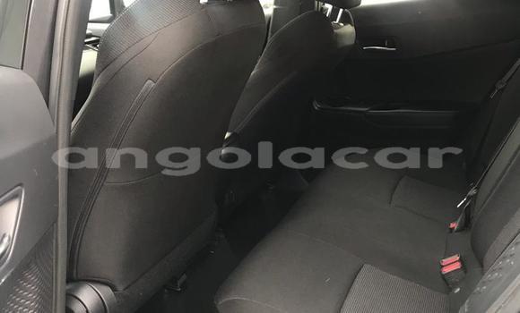 Comprar Usado Toyota C-HR Marrom Carro em Luena em Moxico Comprar Usado Toyota C-HR Marrom Carro em Luena em Moxico