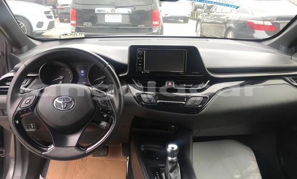 Comprar Usado Toyota C-HR Marrom Carro em Luena em Moxico Comprar Usado Toyota C-HR Marrom Carro em Luena em Moxico