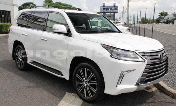 Comprar Usado Lexus LX 570 Branco Carro em Camabatela em Uige