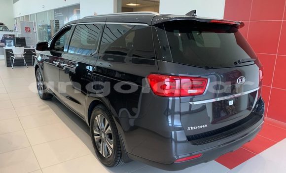 Buy Used Kia Sedona Black Car in Luanda in Luanda Province Buy Used Kia Sedona Black Car in Luanda in Luanda Province