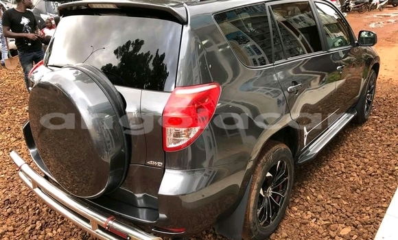 Acheter Occasion Voiture Toyota RAV4 Autre à N'dalatando, Province de Cuanza Norte Acheter Occasion Voiture Toyota RAV4 Autre à N'dalatando, Province de Cuanza Norte