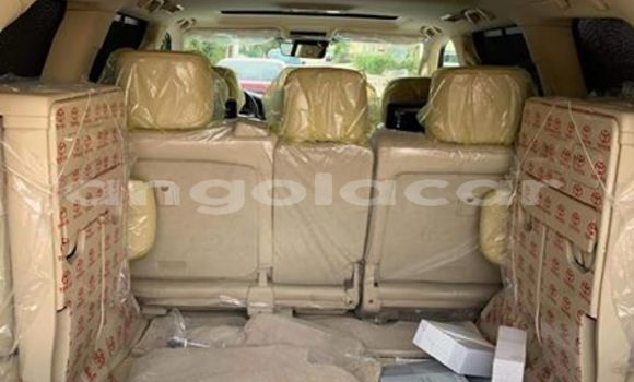 Comprar Usado Lexus LX 570 Bege Carro em Luanda em Luanda Province Comprar Usado Lexus LX 570 Bege Carro em Luanda em Luanda Province
