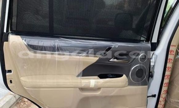 Comprar Usado Lexus LX 570 Bege Carro em Luanda em Luanda Province Comprar Usado Lexus LX 570 Bege Carro em Luanda em Luanda Province