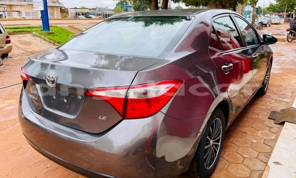 Comprar Usado Toyota Corolla Outro Carro em N’dalatando em Cuanza Norte Province Comprar Usado Toyota Corolla Outro Carro em N’dalatando em Cuanza Norte Province