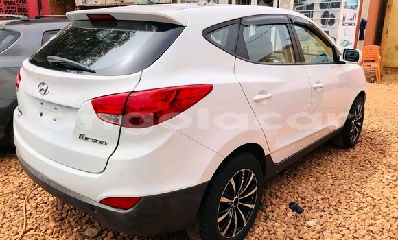 Comprar Usado Hyundai Tucson Outro Carro em N’dalatando em Cuanza Norte Province Comprar Usado Hyundai Tucson Outro Carro em N’dalatando em Cuanza Norte Province