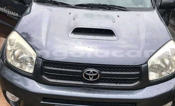 Buy Used Toyota RAV4 Other Car in N'dalatando in Cuanza Norte Province Buy Used Toyota RAV4 Other Car in N'dalatando in Cuanza Norte Province