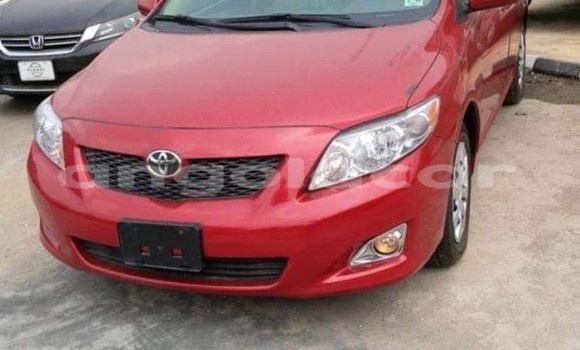 Comprar Usado Toyota Corolla Vermelho Carro em Luanda em Luanda Province