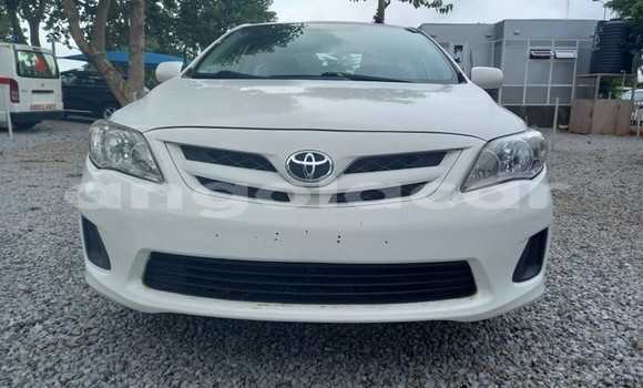 Acheter Occasion Voiture Toyota Corolla Blanc à Luena, Moxico