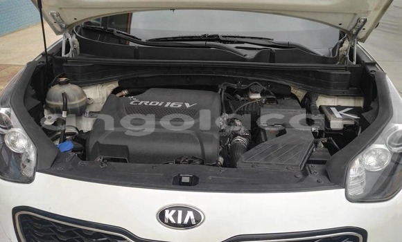 Buy Used Kia Sportage White Car in Luanda in Luanda Province Buy Used Kia Sportage White Car in Luanda in Luanda Province