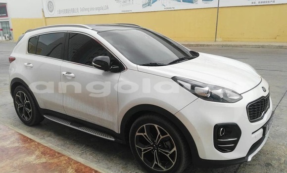Buy Used Kia Sportage White Car in Luanda in Luanda Province Buy Used Kia Sportage White Car in Luanda in Luanda Province