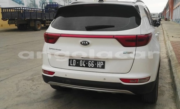 Buy Used Kia Sportage White Car in Luanda in Luanda Province Buy Used Kia Sportage White Car in Luanda in Luanda Province