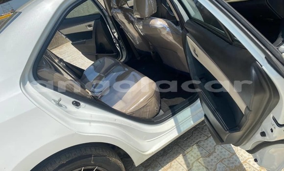 Comprar Usado Toyota Corolla Branco Carro em Luena em Moxico Comprar Usado Toyota Corolla Branco Carro em Luena em Moxico