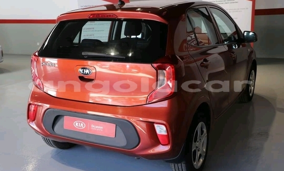 Comprar Usado Kia Picanto Outro Carro em Luanda em Luanda Province Comprar Usado Kia Picanto Outro Carro em Luanda em Luanda Province